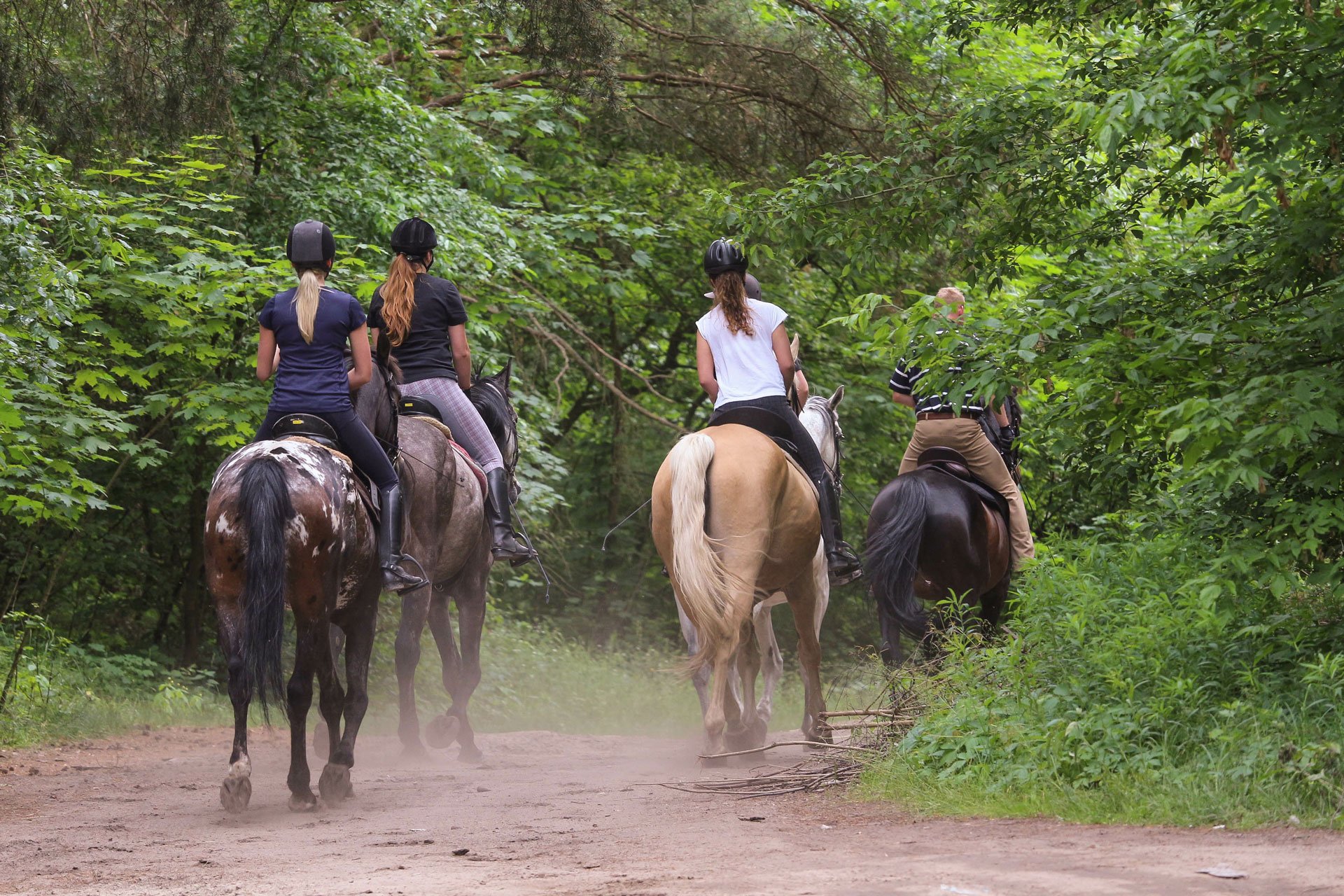AdobeStock_159652650 people horseback riding