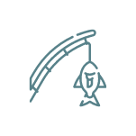 Group 50 graphic of fishing