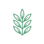 Group 52 graphic of plant