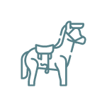 Group 57 graphic of horse