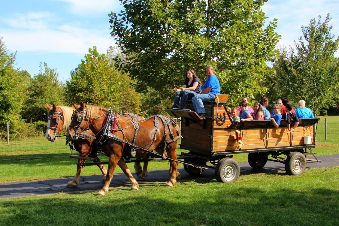 Photo of People Riding in a Horse Drawn Wagon